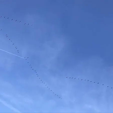 Robby 2 * Insel Poel